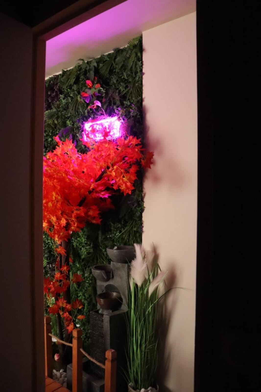 Loveroom Japon Avec Balneotherapie Тулон Экстерьер фото