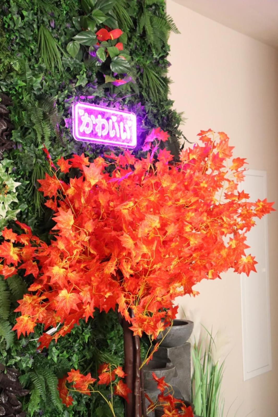 Loveroom Japon Avec Balneotherapie Тулон Экстерьер фото